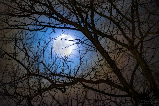 Blue 'Lunar Corona' Frames the Full Moon in Eerie Night-Sky Photo