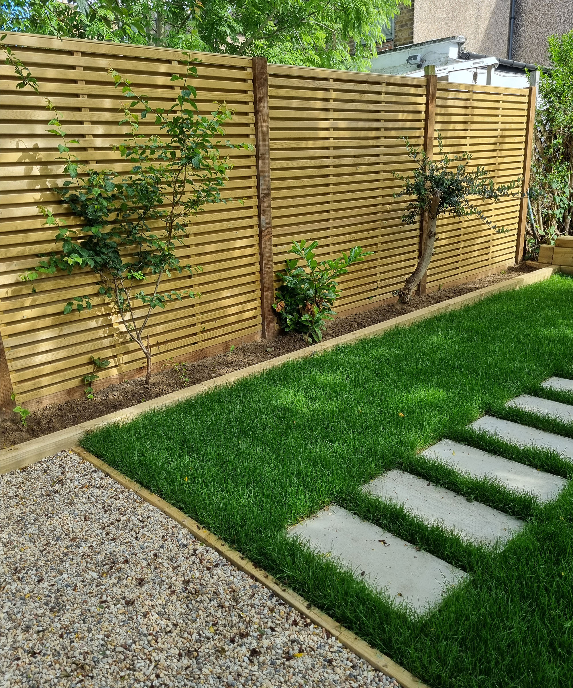 A horizontal slatted fence with a narrow garden bed with evergreen planting and a fresh lawn