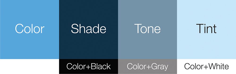 Choose The Perfect Colour Palette For Your Website 