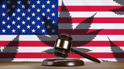 american flag with shadow of marijuana leaf
