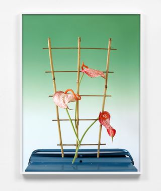 Bamboo frame supporting three pink lilies