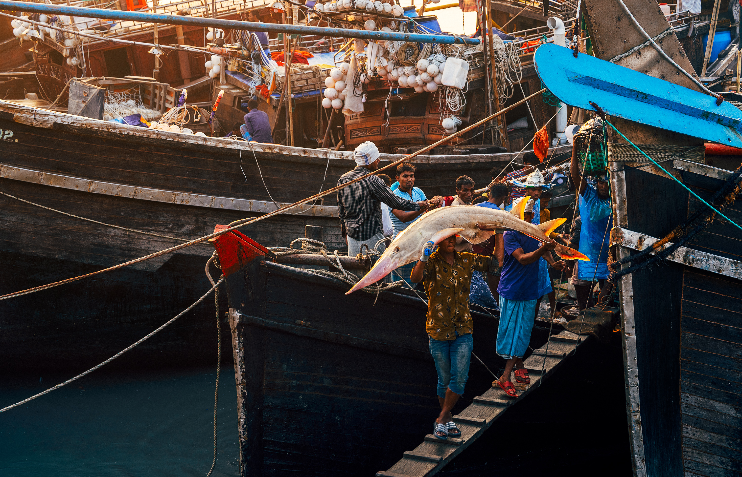A fisherman hoists a fish above his head on a crowded dock