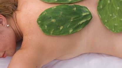 a person with cacti on their back
