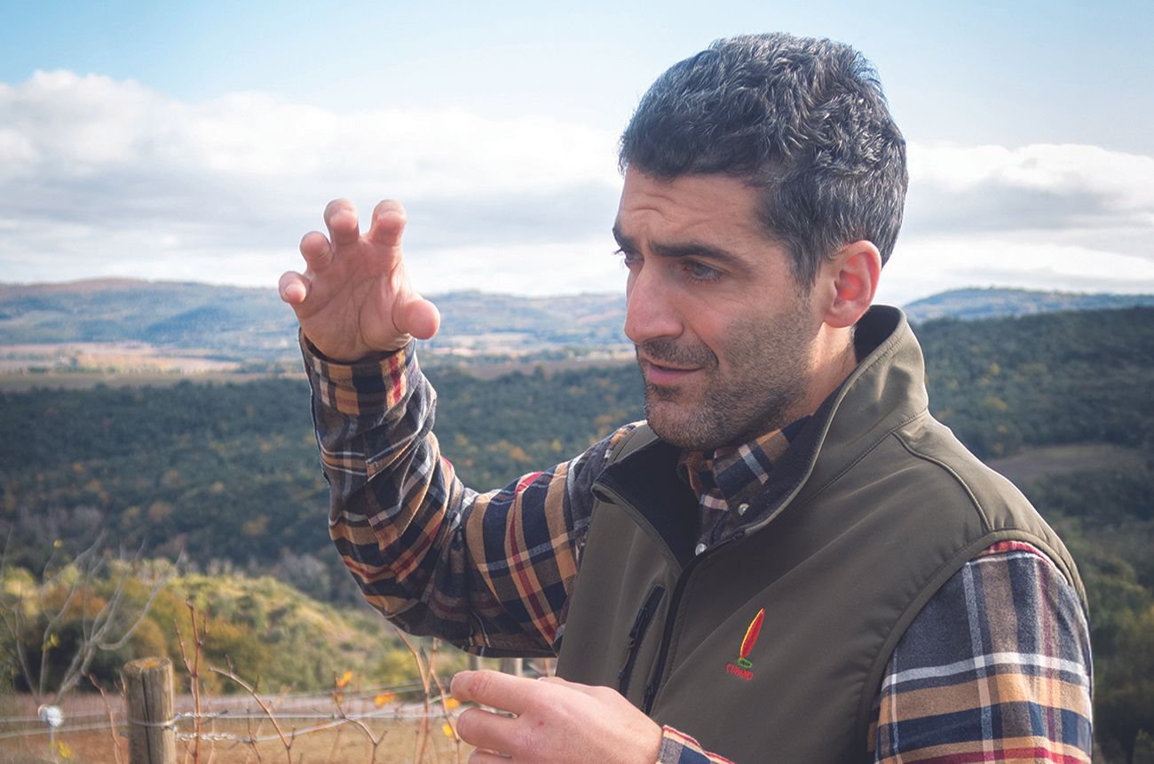 Andrea Polidoro, Cupano