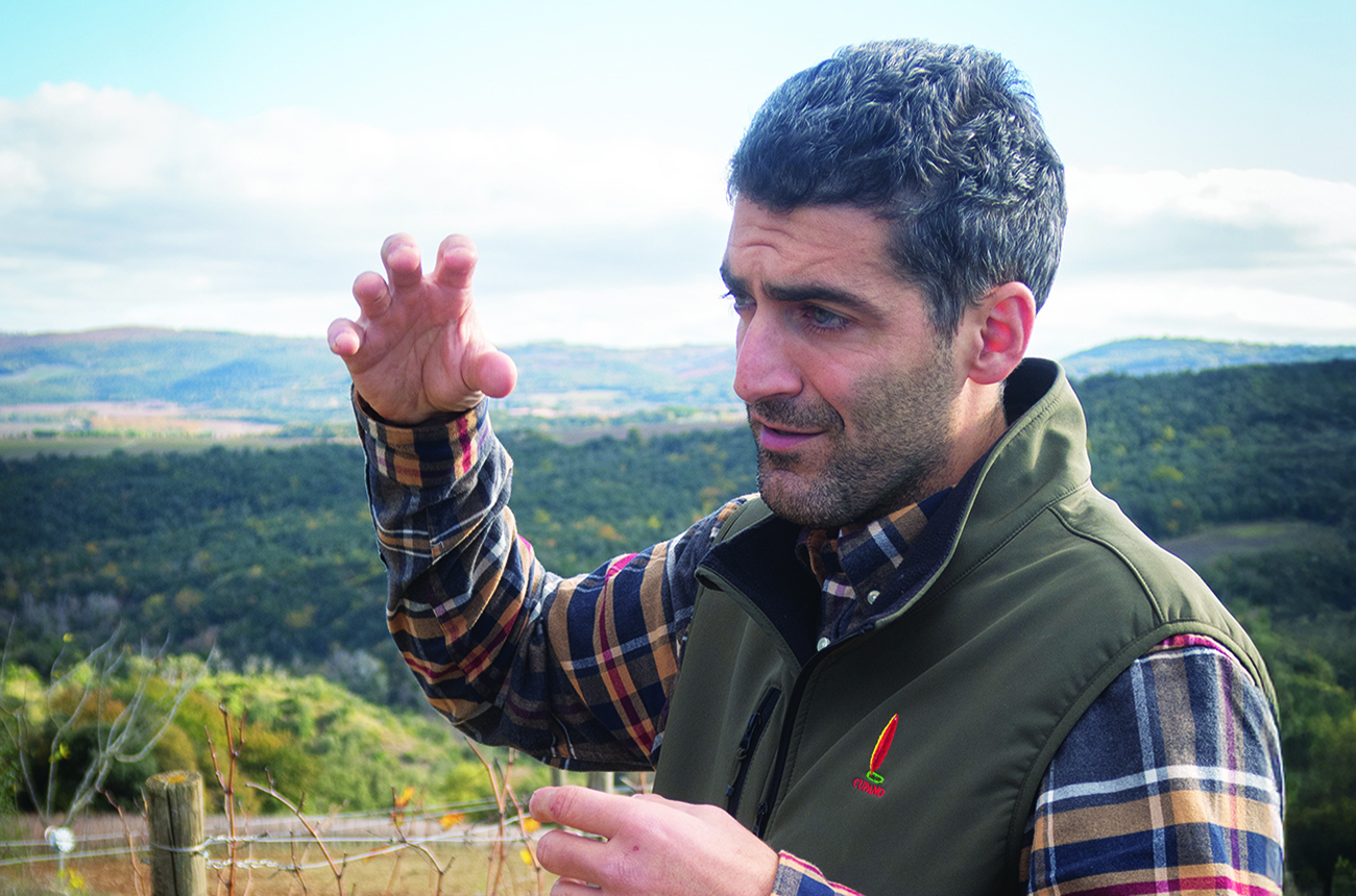 Andrea Polidoro, Cupano