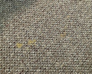 A low-pile dark beige carpet with a dried-on yellow stain
