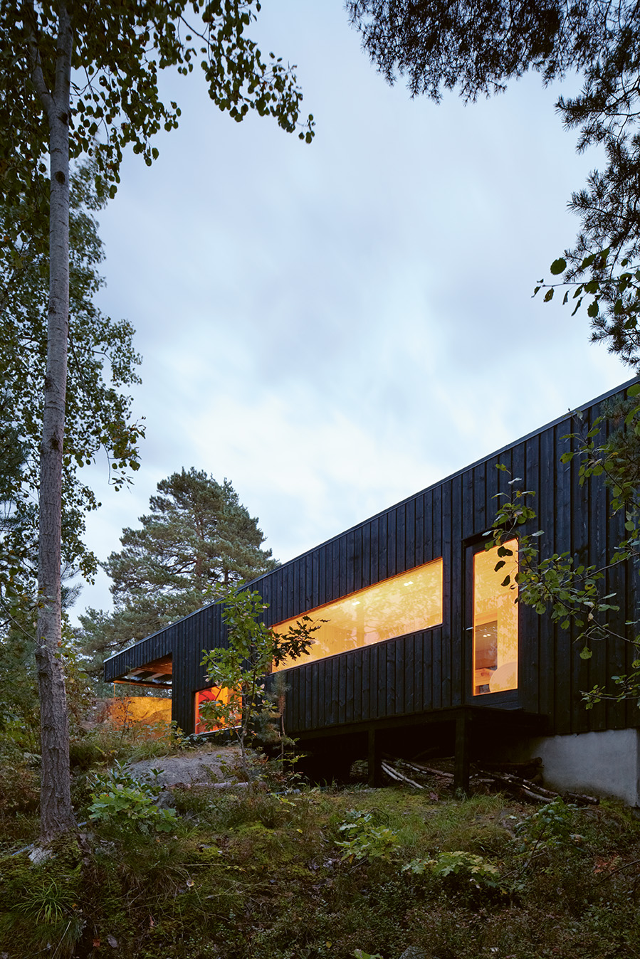 Irma Salo J&amp;aelig;ger | Irene S&amp;aelig;vik - The contemporaryblack timber house in nature