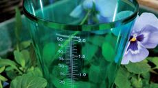 Rain gauge in container with pansies