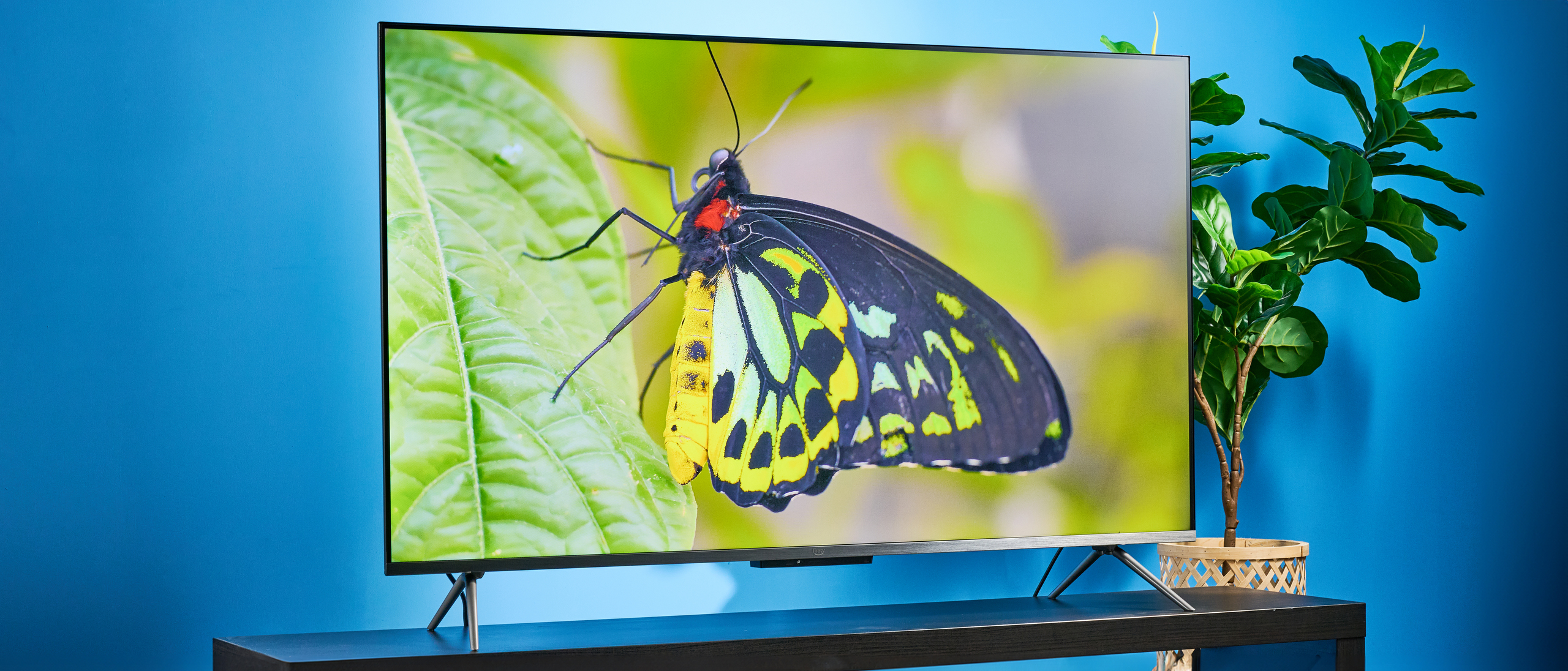 the amazon ember qled 2025 TV