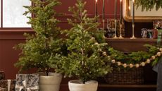 Mini pre-lit Christmas trees styled in a bordeaux living room area that features wrapped presents, golden candlesticks, and metallic beaded garland