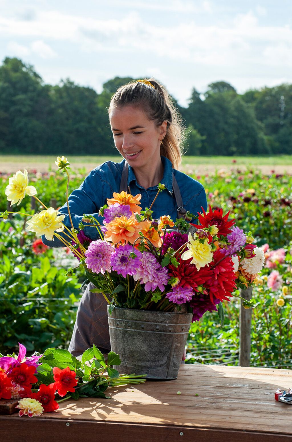 Best cutting garden flowers: fill your house with homegrown blooms