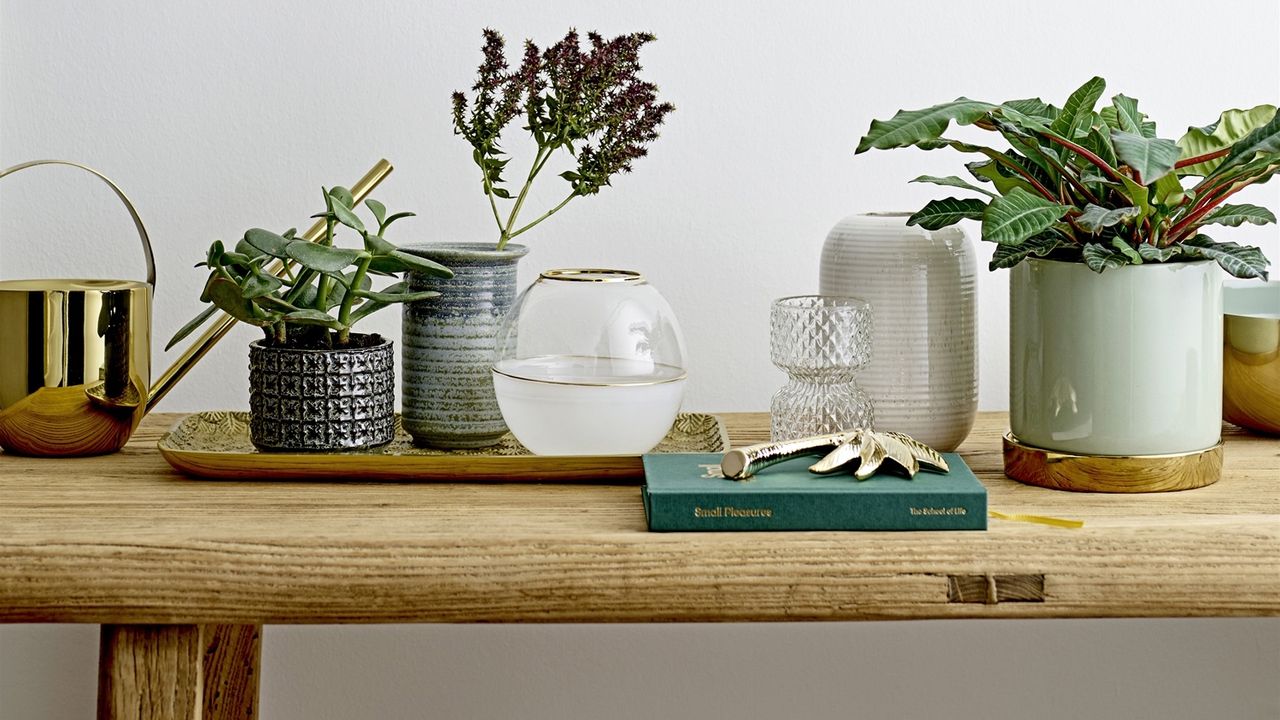 wooden table topped with an assortment of plant pots and vases