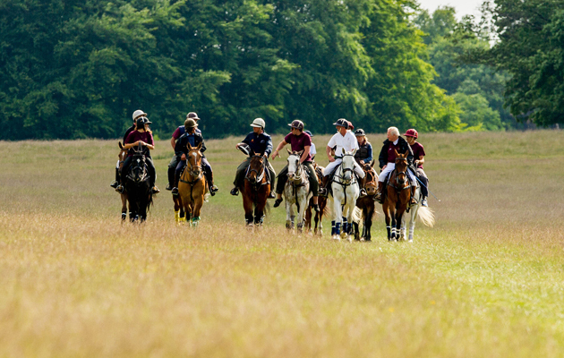 2015 "Ham Polo Club." " The re-emergence of Polo in Richmond Park".