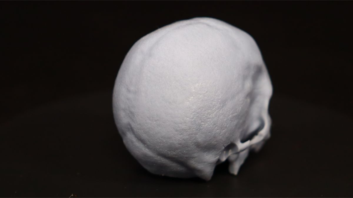 Nova3D Whale3 SE 3D printer-menu screen-test print-back of skull