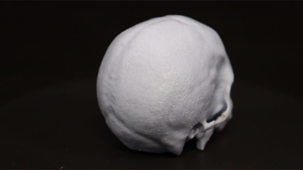 Nova3D Whale3 SE 3D printer-menu screen-test print-back of skull