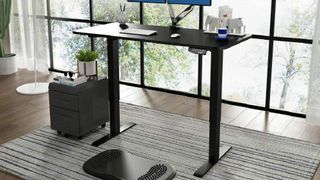 FLEXISPOT standing desk