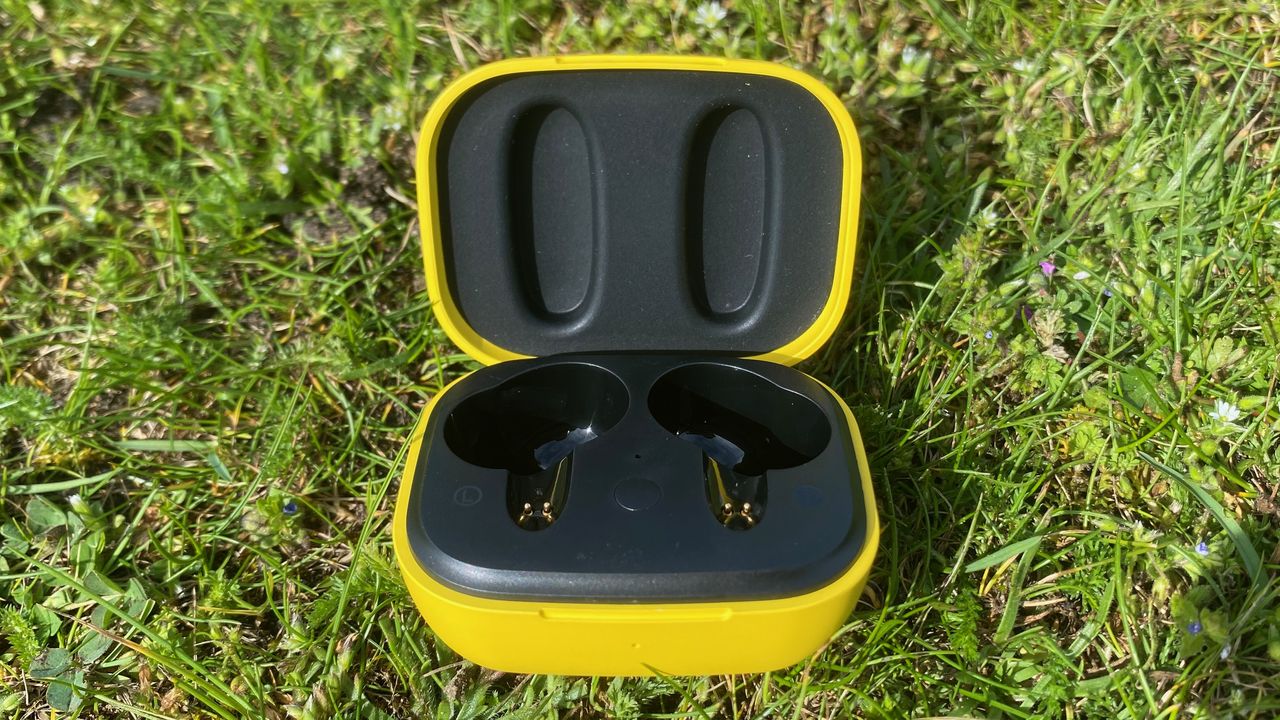 Photo of the TecTecTec Team8E earbuds case
