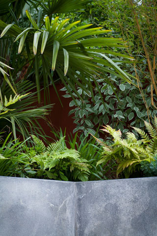 small backyard ideas