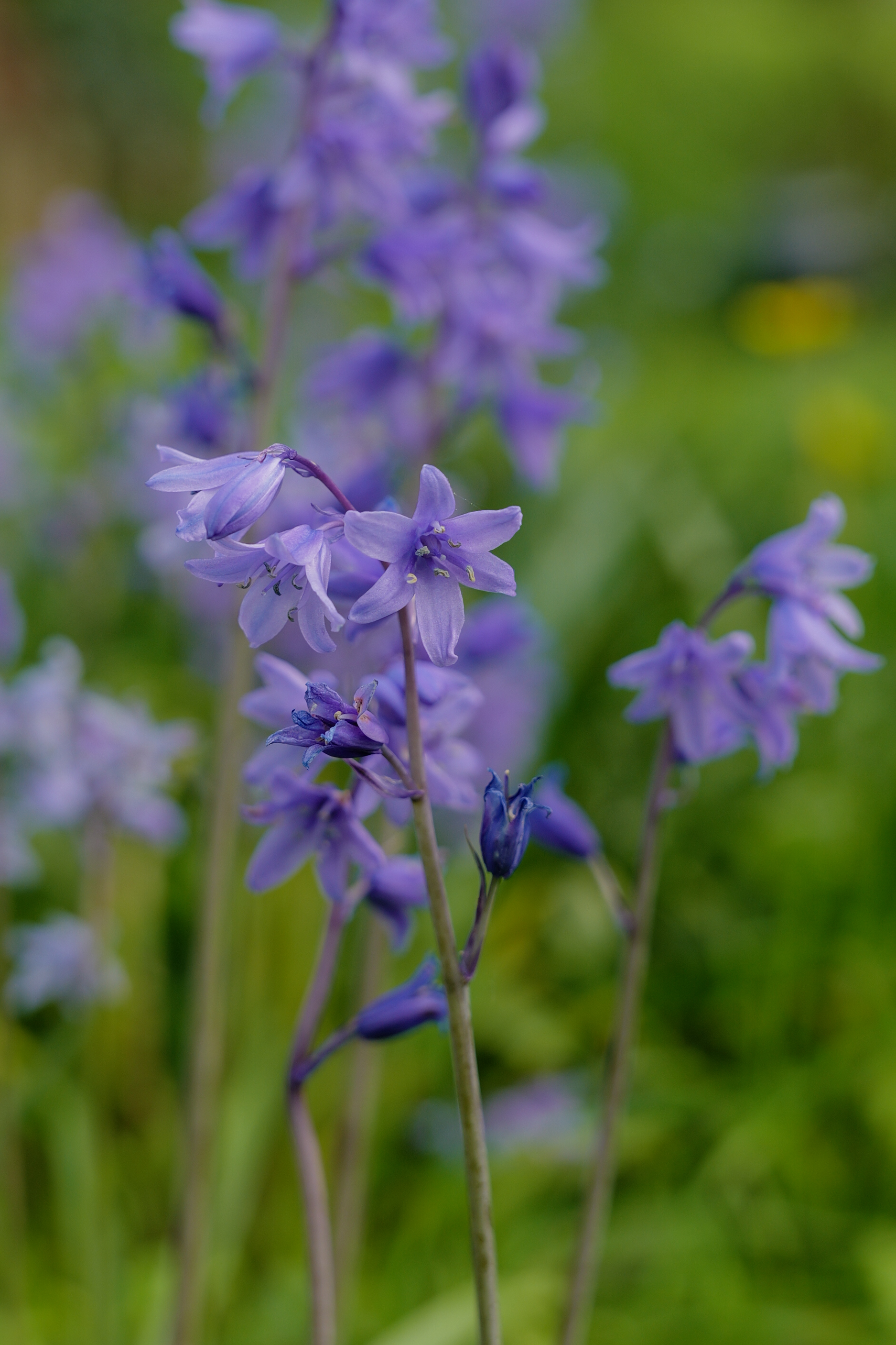 A photo taken on a Leica SL3-S mirrorless camera