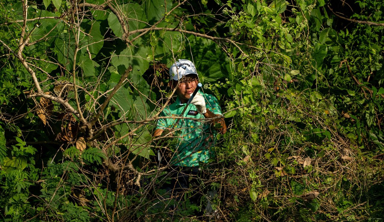 Phachara Khongwatmai grabs a club whilst in a hedge