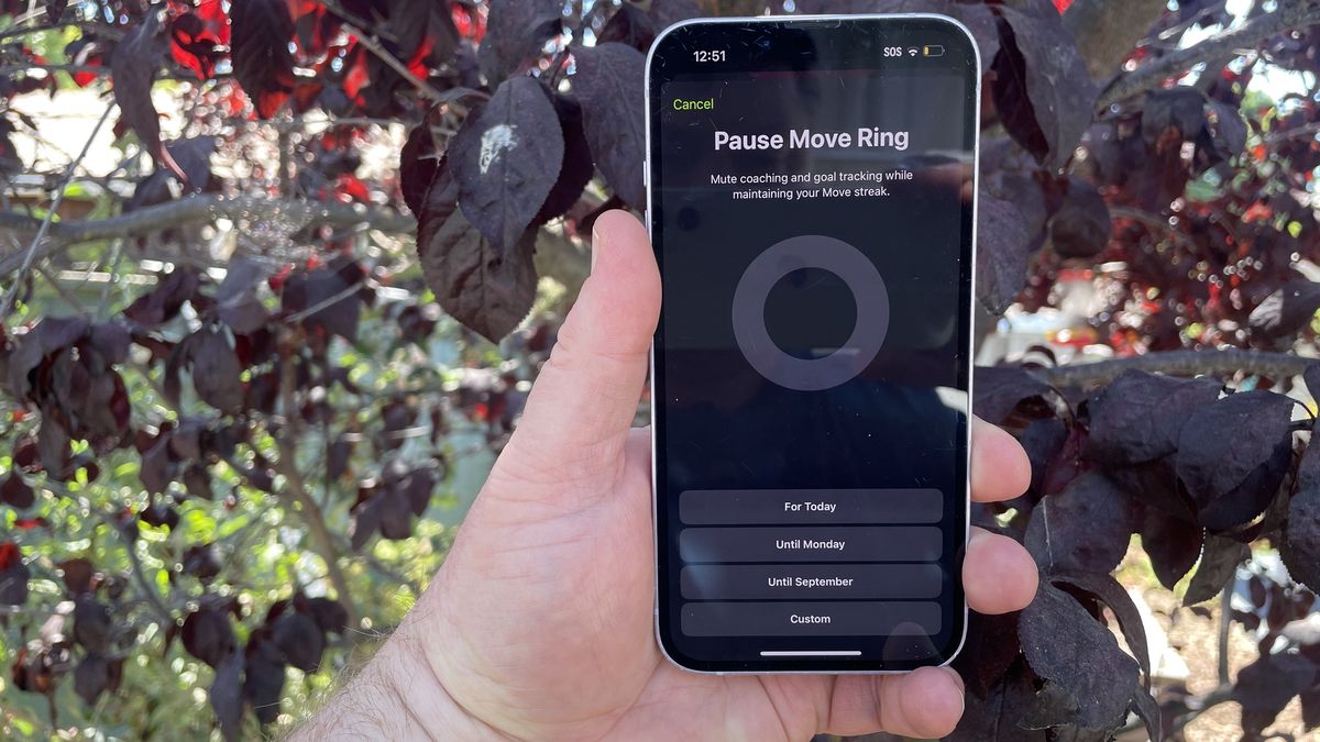 iOS 18 lets you take a break from closing your Move ring — here’s how to pause activity streaks