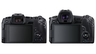 Canon EOS RP vs EOS R