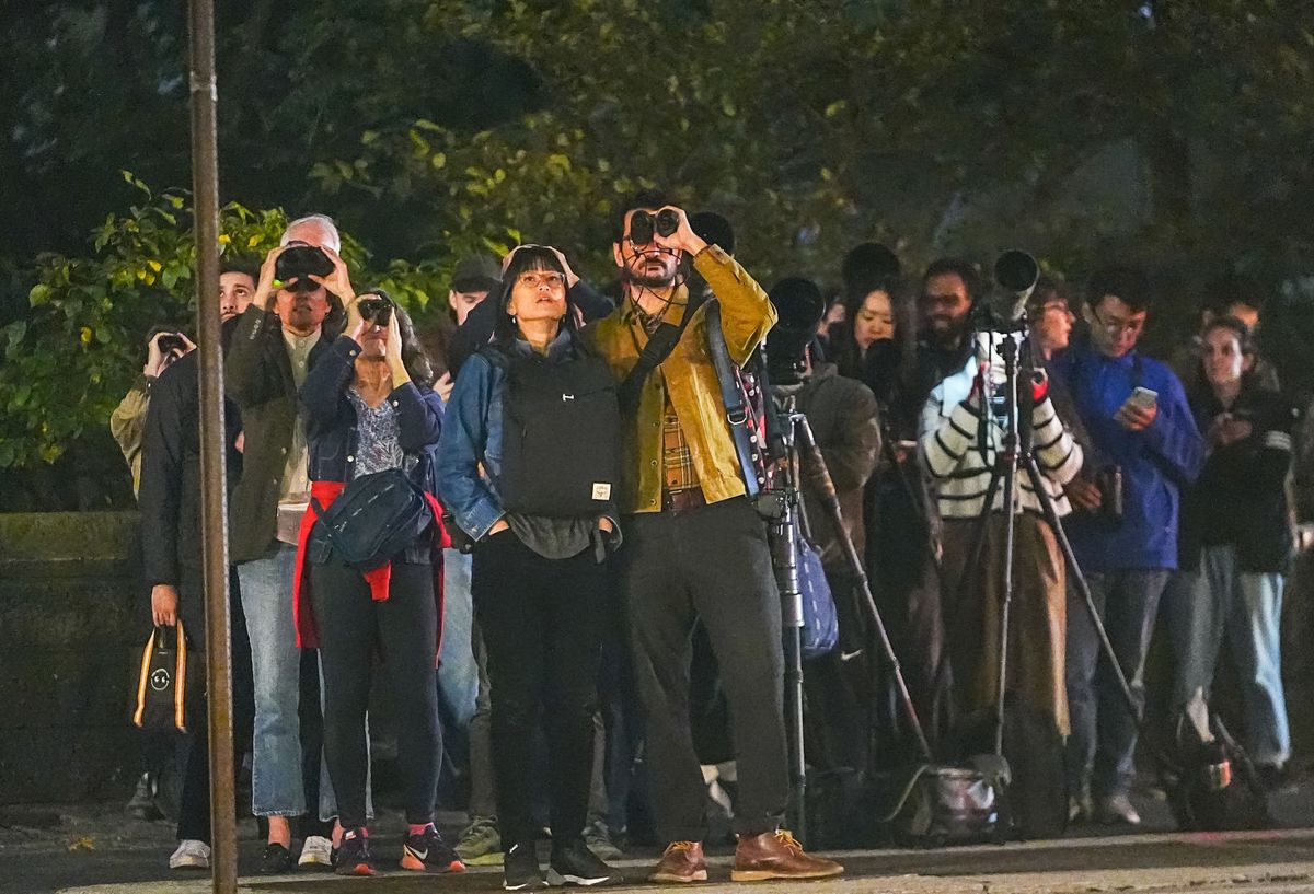 Birdwatchers, photographers and curious residents gather along West 75th Street near Central Park West in Manhattan, New York City, United States, on October 20