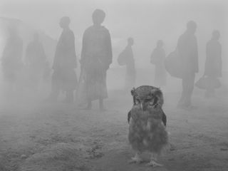 New series The Day May Break from Nick Brandt to exhibit in Paris at the Polka Gallery