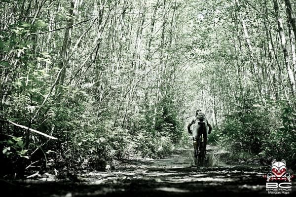 Tunnels of green escorted riders to the finish of the day&rsquo;s stage.