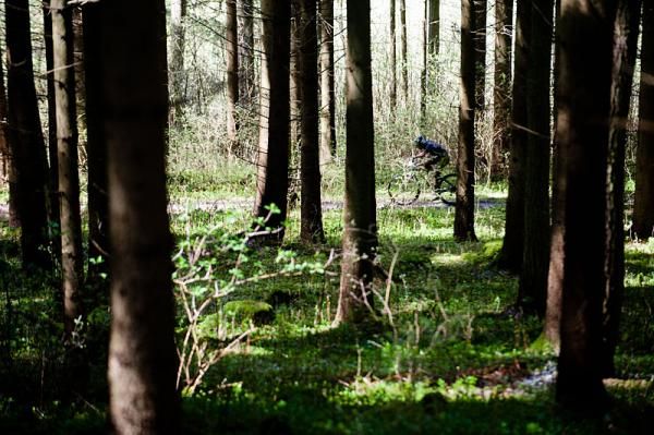 Jochen Kass in the trees