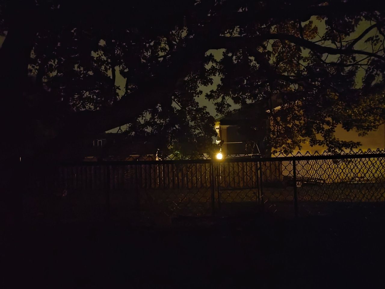 CMF Phone 1 camera sample.