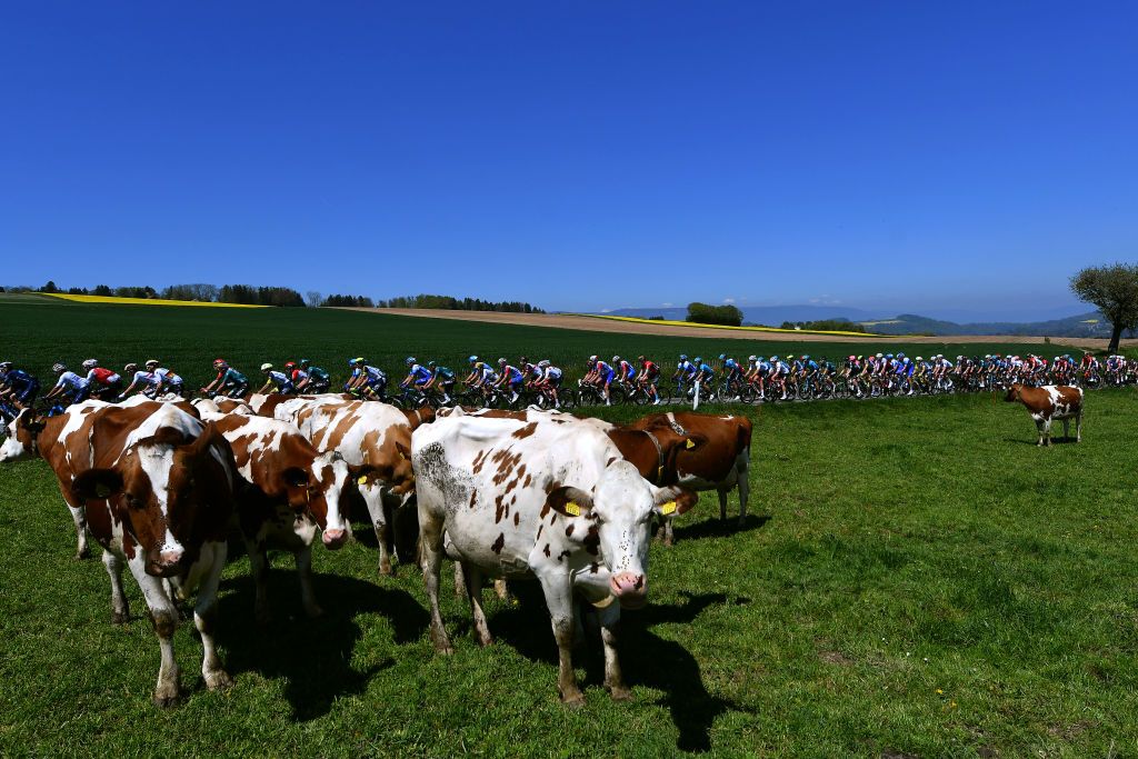 OULENSSOUSECHALLENS SWITZERLAND APRIL 28 A general view of the peloton passing through a landscape during the 75th Tour De Romandie 2022 Stage 2 a 1682km stage from challens to challens TDR2022 on April 28 2022 in OulenssousEchallens Switzerland Photo by Dario BelingheriGetty Images