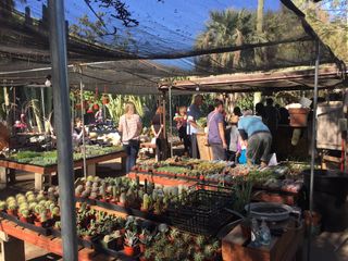 The Nursery at Moorten Botanical Garden, which contains lots of plants you can buy and shoppers browsing