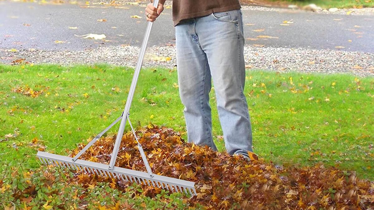 What are the different types of rakes and what do they do? Tom's Guide