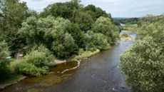 River Wye and surrounding banks of trees