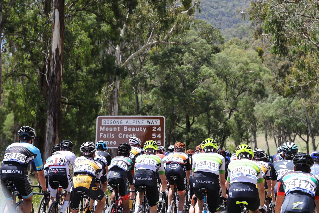 The peloton on the road to Falls Creek