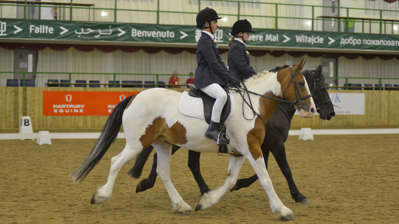 RDA horses