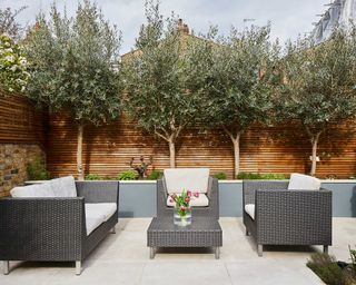 limestone paving from Artisans of Devizes and olive trees in small garden