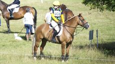 Competing your horse alone : person in cross-country warm-up