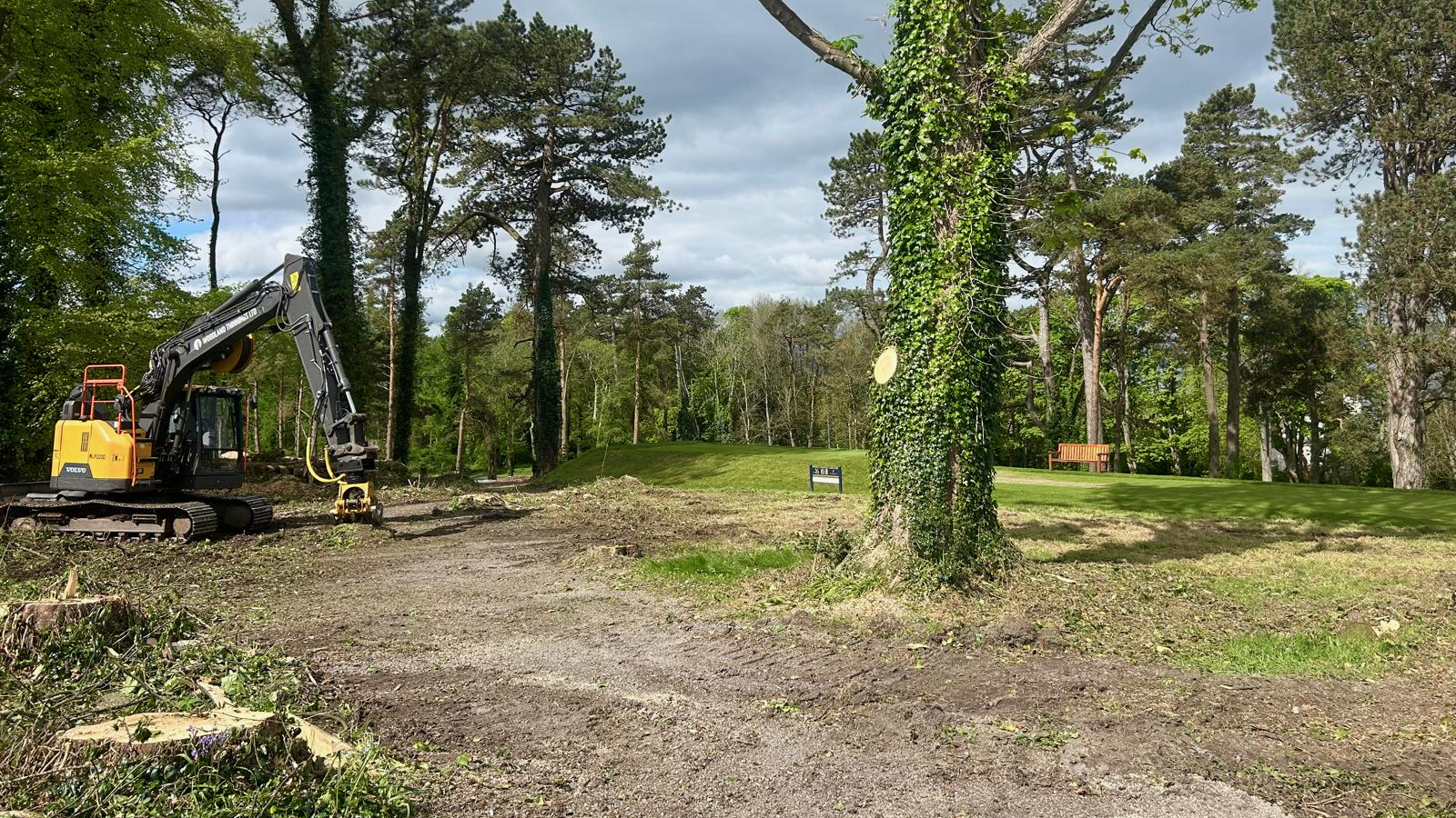 Tree clearing near a tee on a golf course
