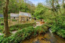 Birch Studio, hidden among the trees, near Lamorna Cove