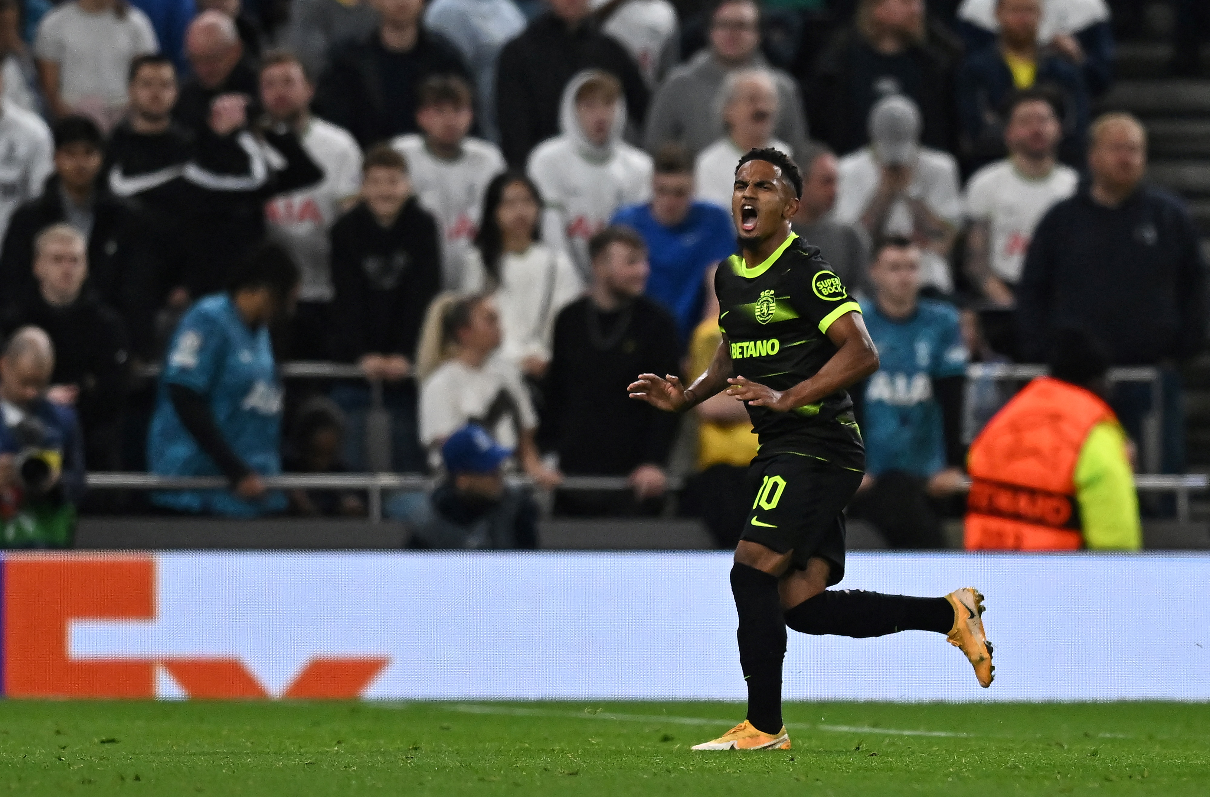 Marcus Edwards celebrates after scoring for Sporting CP against Tottenham in the Champions League in October 2022.