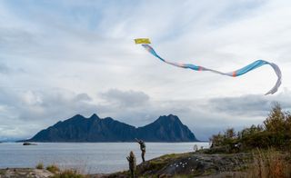 kite against white sky