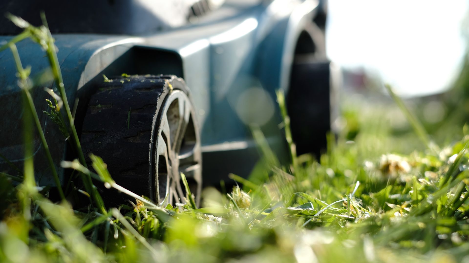 close up picture of lawn mower on grass