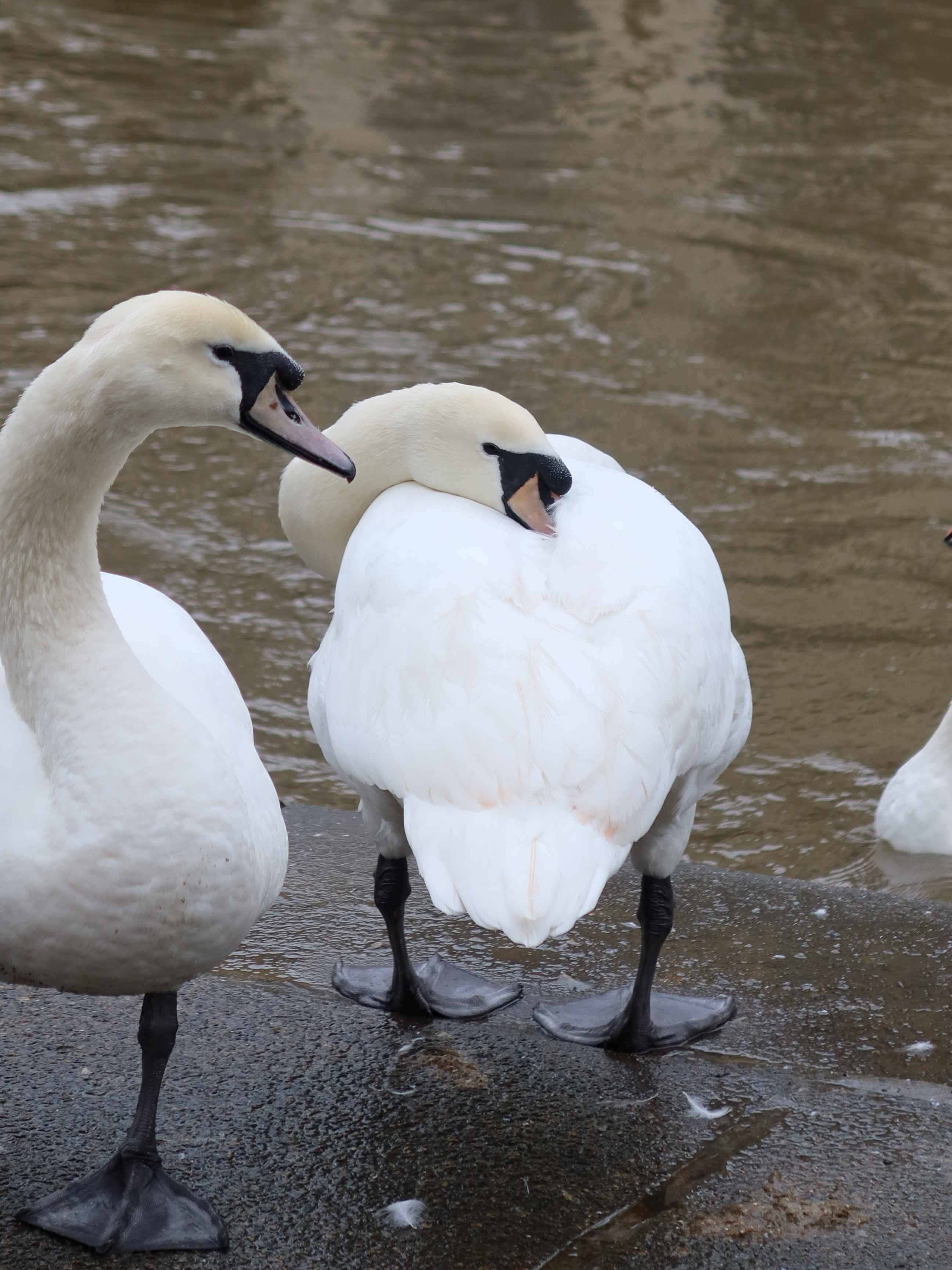 A photo taken on a Canon PowerShot G7 X Mark III compact camera