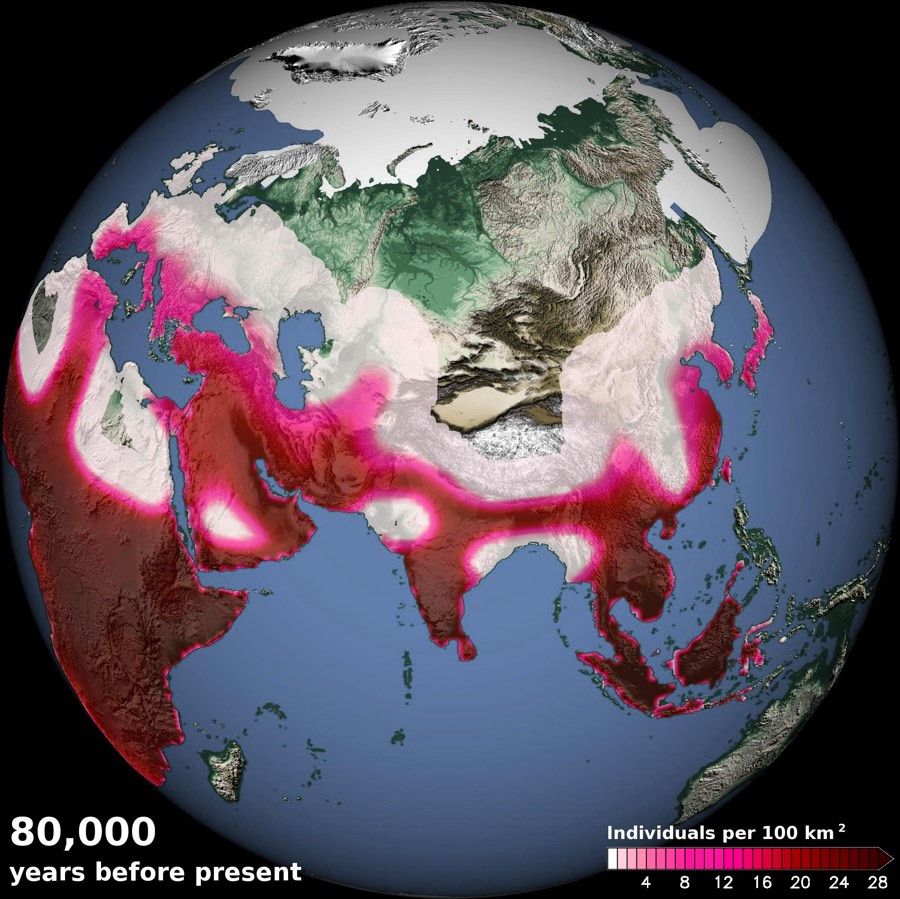 A computer model simulated human density 80,000 years ago, showing the arrival of humans in eastern China and southern Europe as well as migrations out of Africa along vegetated paths in Sinai and the Arabian Peninsula.