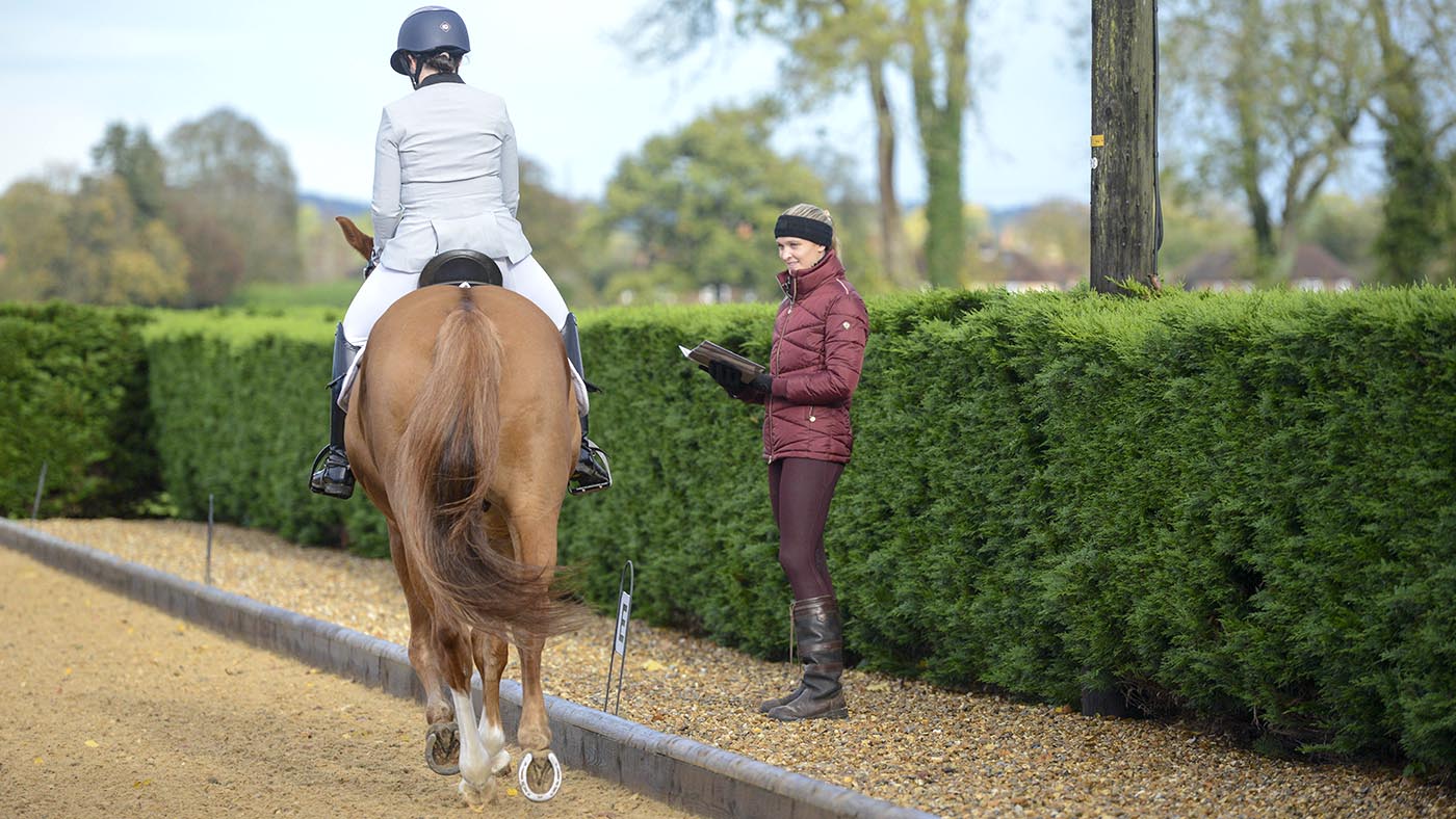 young horse classes