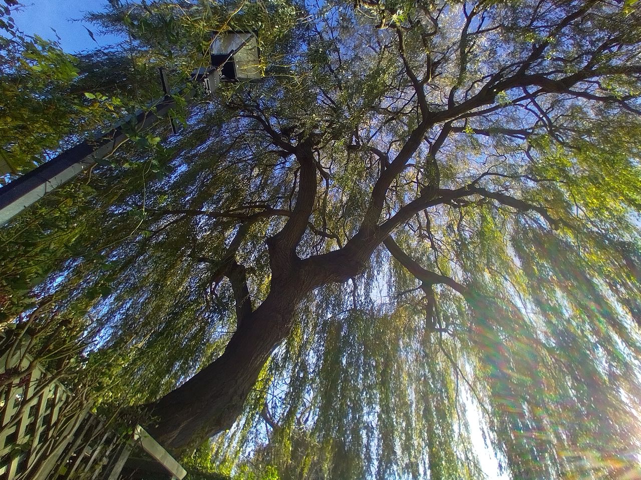 Nokia 3.4 camera sample
