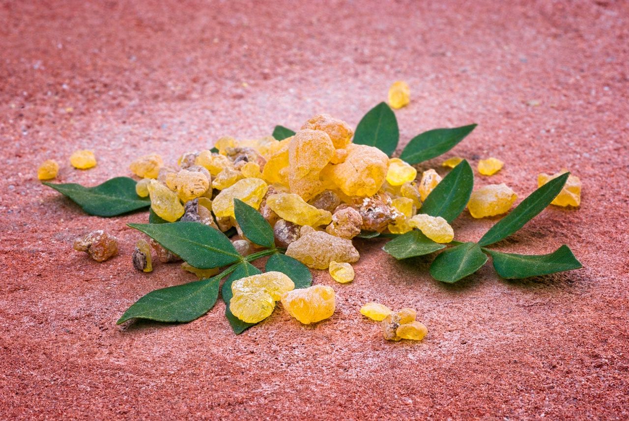 Frankincense Aromatic Resins