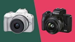 Canon EOS R50 et EOS M50 Mark II côte à côte sur un fond vert et rose